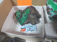 Mineral 6 - MineralExpo 2026